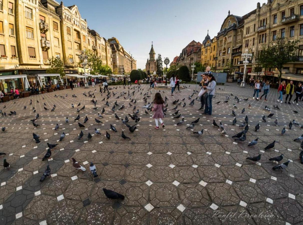 Premium Timisoara Daire Dış mekan fotoğraf