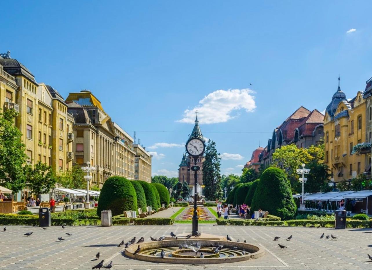 Premium Timisoara Daire Dış mekan fotoğraf