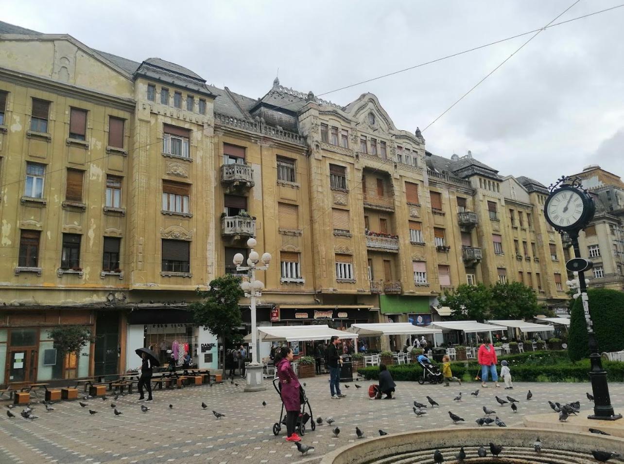Premium Timisoara Daire Dış mekan fotoğraf